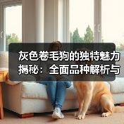灰色卷毛狗的独特魅力揭秘:全面品种解析与养宠指南(图4) 灰色卷毛狗的独特魅力揭秘:全面品种解析与养宠指南(图4)