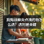 狗狗胰腺炎点滴药物怎么选？选对是关键(图2)