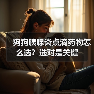 狗狗胰腺炎点滴药物怎么选？选对是关键