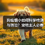 狗瘟细小如何科学检测与防治?宠物主人必看的精准诊断方法(图3) 狗瘟细小如何科学检测与防治?宠物主人必看的精准诊断方法(图3)
