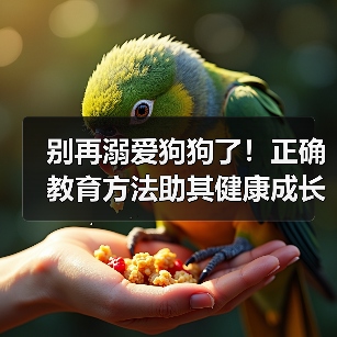 别再溺爱狗狗了!正确教育方法助其健康成长(图4) 别再溺爱狗狗了!正确教育方法助其健康成长(图4)
