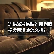 选错浴液伤肤?凯利蓝梗犬用浴液怎么挑?(图4) 选错浴液伤肤?凯利蓝梗犬用浴液怎么挑?(图4)