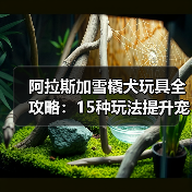 阿拉斯加雪橇犬玩具全攻略:15种玩法提升宠物生活品质(图2) 阿拉斯加雪橇犬玩具全攻略:15种玩法提升宠物生活品质(图2)