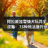 阿拉斯加雪橇犬玩具全攻略：15种玩法提升宠物生活品质
