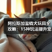阿拉斯加雪橇犬玩具全攻略:15种玩法提升宠物生活品质(图4) 阿拉斯加雪橇犬玩具全攻略:15种玩法提升宠物生活品质(图4)