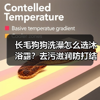 长毛狗狗洗澡怎么选沐浴露？去污滋润防打结全攻略