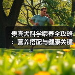 贵宾犬科学喂养全攻略:营养搭配与健康关键(图3) 贵宾犬科学喂养全攻略:营养搭配与健康关键(图3)