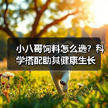 小八哥饲料怎么选？科学搭配助其健康生长(图4)