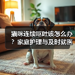 猫咪连续呕吐该怎么办?家庭护理与及时就医指南(图4) 猫咪连续呕吐该怎么办?家庭护理与及时就医指南(图4)