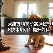 犬猫外科高阶实操班SUB技术培训！提升外科技能新选择