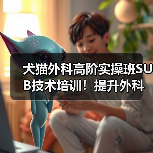 犬猫外科高阶实操班SUB技术培训!提升外科技能新选择(图2) 犬猫外科高阶实操班SUB技术培训!提升外科技能新选择(图2)