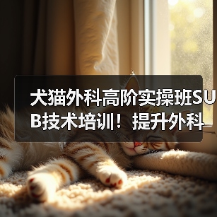 犬猫外科高阶实操班SUB技术培训!提升外科技能新选择(图3) 犬猫外科高阶实操班SUB技术培训!提升外科技能新选择(图3)