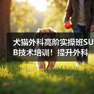 犬猫外科高阶实操班SUB技术培训!提升外科技能新选择(图4) 犬猫外科高阶实操班SUB技术培训!提升外科技能新选择(图4)