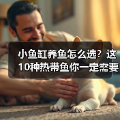 小鱼缸养鱼怎么选?这10种热带鱼你一定需要知道!(图2) 小鱼缸养鱼怎么选?这10种热带鱼你一定需要知道!(图2)