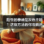 刚生的泰迪是灰色主题?这些方法教你准确判断(图3) 刚生的泰迪是灰色主题?这些方法教你准确判断(图3)
