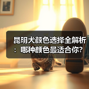 昆明犬颜色选择全解析:哪种颜色最适合你?(图2) 昆明犬颜色选择全解析:哪种颜色最适合你?(图2)