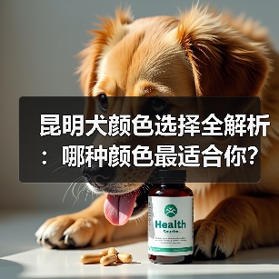 昆明犬颜色选择全解析：哪种颜色最适合你？
