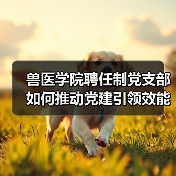 兽医学院聘任制党支部如何推动党建引领效能提升?(图3) 兽医学院聘任制党支部如何推动党建引领效能提升?(图3)