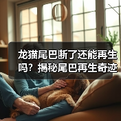 龙猫尾巴断了还能再生吗?揭秘尾巴再生奇迹与护理全攻略(图3) 龙猫尾巴断了还能再生吗?揭秘尾巴再生奇迹与护理全攻略(图3)