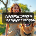 狗狗能喝配方奶粉吗?全面解析幼犬喂养要点(图2) 狗狗能喝配方奶粉吗?全面解析幼犬喂养要点(图2)