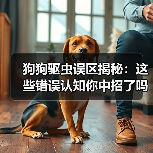 狗狗驱虫误区揭秘:这些错误认知你中招了吗?(图3) 狗狗驱虫误区揭秘:这些错误认知你中招了吗?(图3)