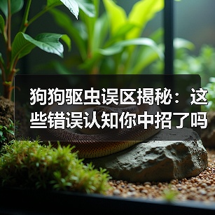 狗狗驱虫误区揭秘:这些错误认知你中招了吗?(图4) 狗狗驱虫误区揭秘:这些错误认知你中招了吗?(图4)