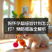 狗怀孕期感冒针剂怎么打？预防措施全解析