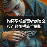 狗怀孕期感冒针剂怎么打？预防措施全解析(图4)