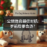 公猫绝育最佳时机:一岁前后更合适?(图4) 公猫绝育最佳时机:一岁前后更合适?(图4)