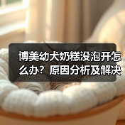 博美幼犬奶糕没泡开怎么办?原因分析及解决方法(图2) 博美幼犬奶糕没泡开怎么办?原因分析及解决方法(图2)