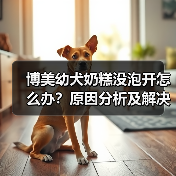 博美幼犬奶糕没泡开怎么办？原因分析及解决方法