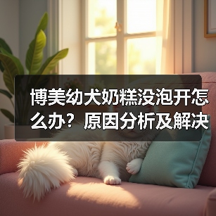 博美幼犬奶糕没泡开怎么办?原因分析及解决方法(图4) 博美幼犬奶糕没泡开怎么办?原因分析及解决方法(图4)