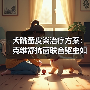 犬跳蚤皮炎治疗方案：克维舒抗菌联合驱虫如何成功控制病情(图3)