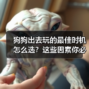 狗狗出去玩的最佳时机怎么选?这些因素你必须知道(图3) 狗狗出去玩的最佳时机怎么选?这些因素你必须知道(图3)