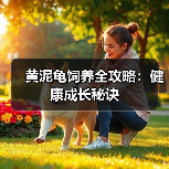黄泥龟饲养全攻略：健康成长秘诀