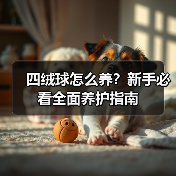 四绒球怎么养？新手必看全面养护指南