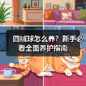 四绒球怎么养?新手必看全面养护指南(图4) 四绒球怎么养?新手必看全面养护指南(图4)