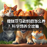 橙翅亚马逊鹦鹉怎么养?科学饲养全攻略(图4) 橙翅亚马逊鹦鹉怎么养?科学饲养全攻略(图4)