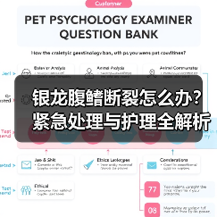 银龙腹鳍断裂怎么办？紧急处理与护理全解析