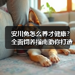 安川兔怎么养才健康?全面饲养指南助你打造温馨家园(图3) 安川兔怎么养才健康?全面饲养指南助你打造温馨家园(图3)
