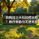 狗狗背上大包如何治愈?医疗救助与无尽关爱的温暖历程(图4) 狗狗背上大包如何治愈?医疗救助与无尽关爱的温暖历程(图4)
