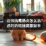 边牧病毒肠炎怎么治？选对药物提高康复率(图2)