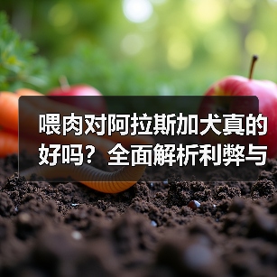 喂肉对阿拉斯加犬真的好吗？全面解析利弊与喂养技巧