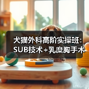 犬猫外科高阶实操班：SUB技术+乳糜胸手术，你掌握了吗？