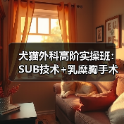 犬猫外科高阶实操班:SUB技术+乳糜胸手术,你掌握了吗?(图2) 犬猫外科高阶实操班:SUB技术+乳糜胸手术,你掌握了吗?(图2)