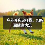 户外养狗这样做,狗狗更健康快乐(图2) 户外养狗这样做,狗狗更健康快乐(图2)