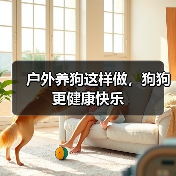 户外养狗这样做,狗狗更健康快乐(图4) 户外养狗这样做,狗狗更健康快乐(图4)