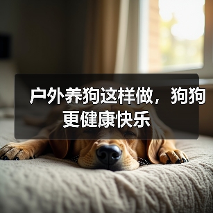 户外养狗这样做,狗狗更健康快乐(图3) 户外养狗这样做,狗狗更健康快乐(图3)