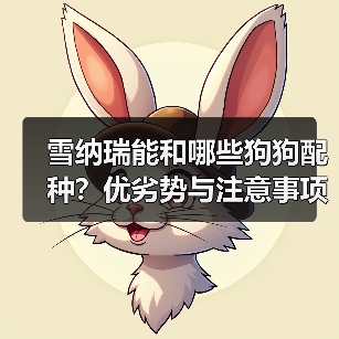 雪纳瑞能和哪些狗狗配种?优劣势与注意事项全解析(图4) 雪纳瑞能和哪些狗狗配种?优劣势与注意事项全解析(图4)