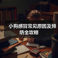 小狗感冒常见原因及预防全攻略(图4)